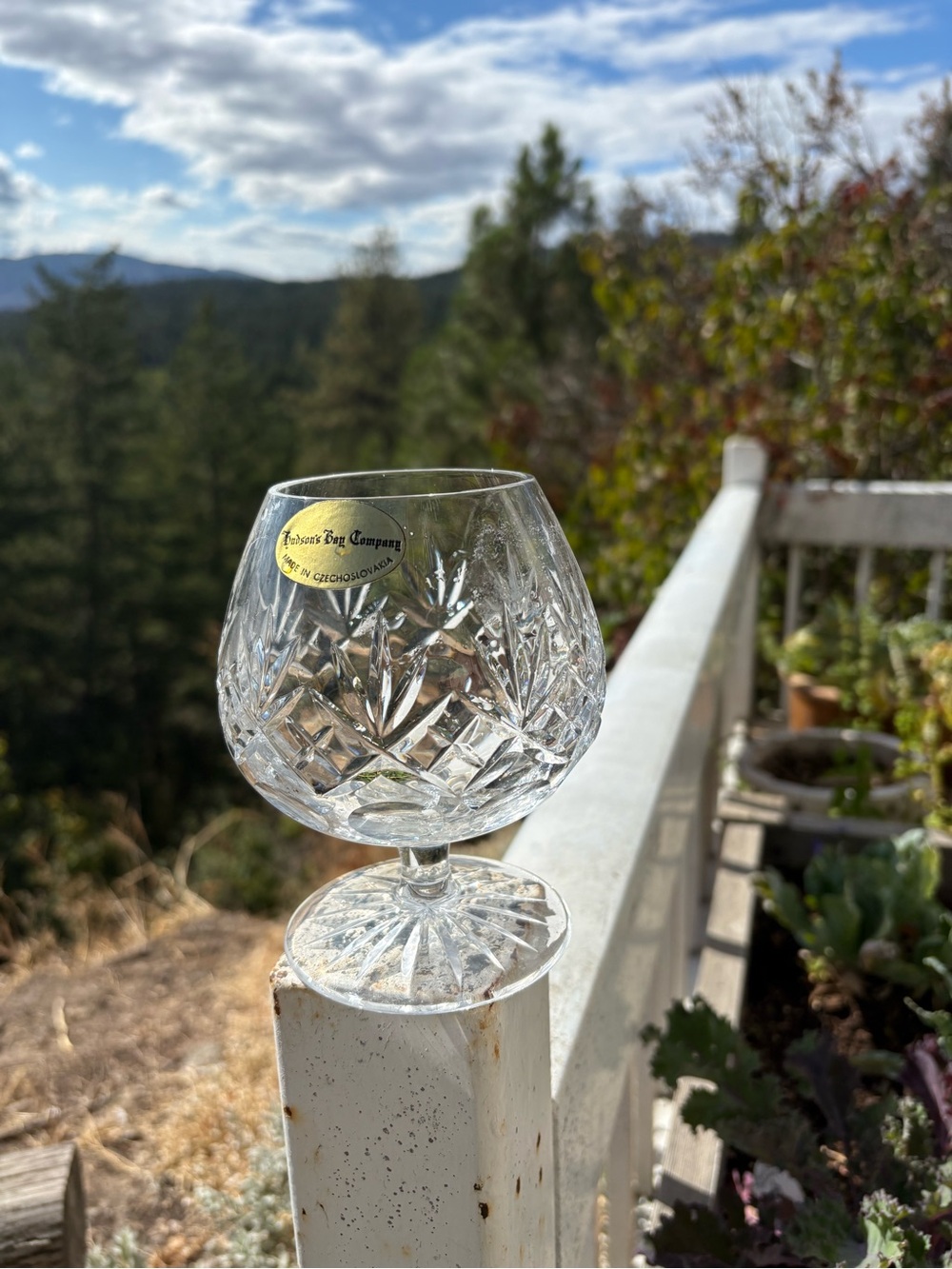 Two Brandy Glasses From Czechoslovakia